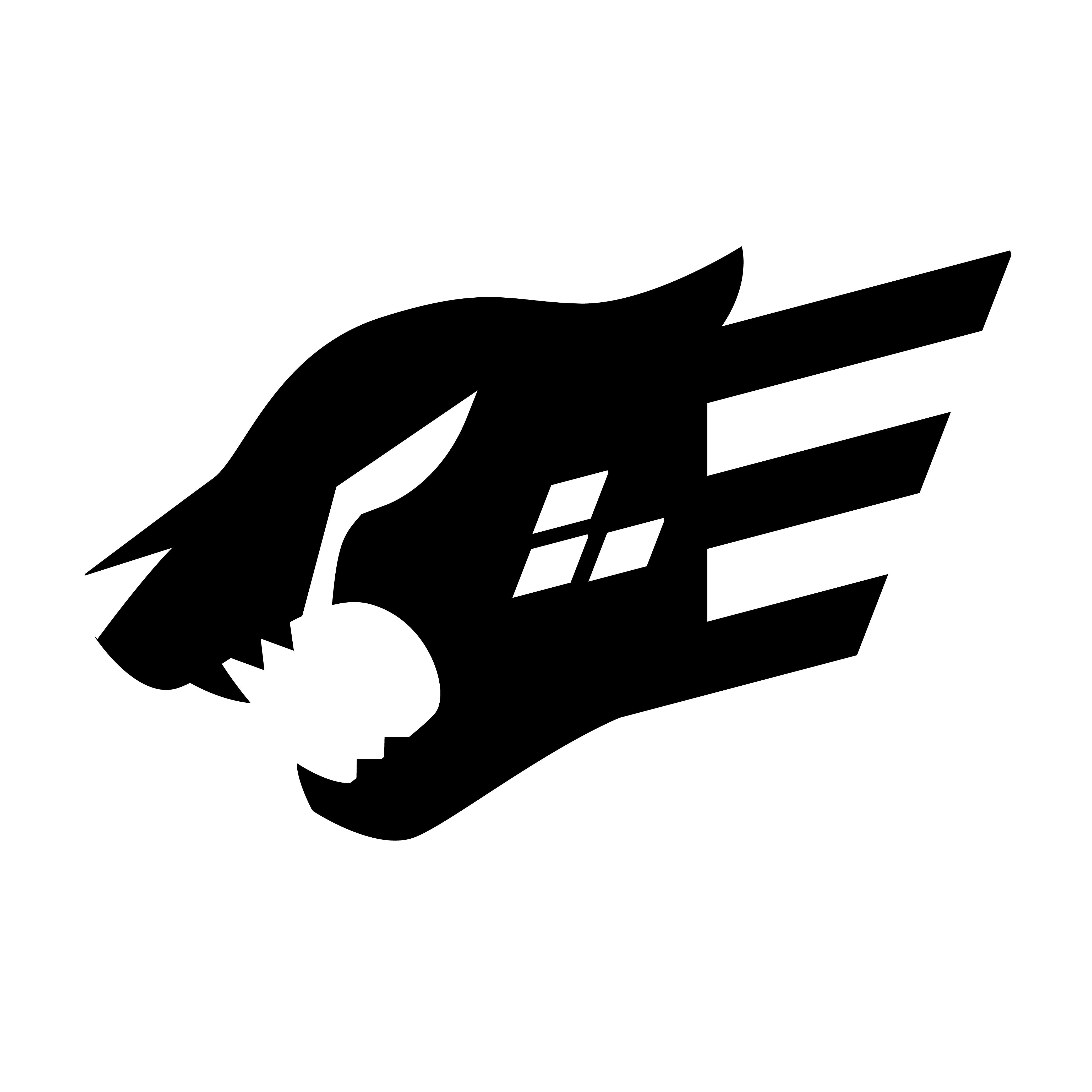Logo Fastify - Framework Node.js rapide