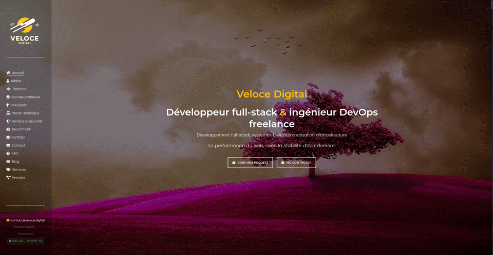 Veloce Digital